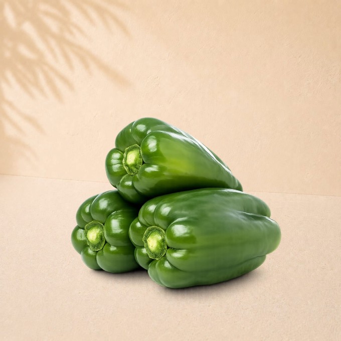 Poivron vert