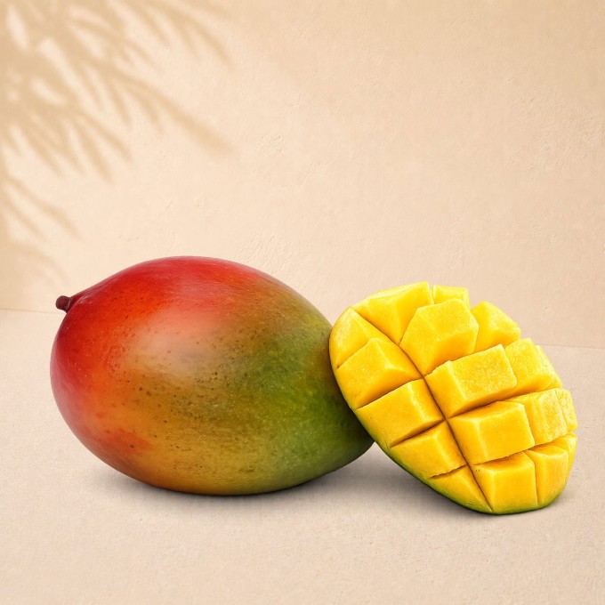 Mangue Palmer