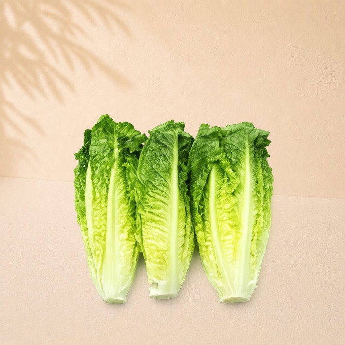 Salade romaine
