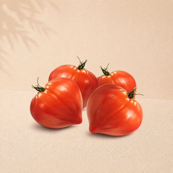 Tomate cœur de bœuf