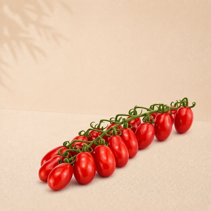 Tomate datterino couleur