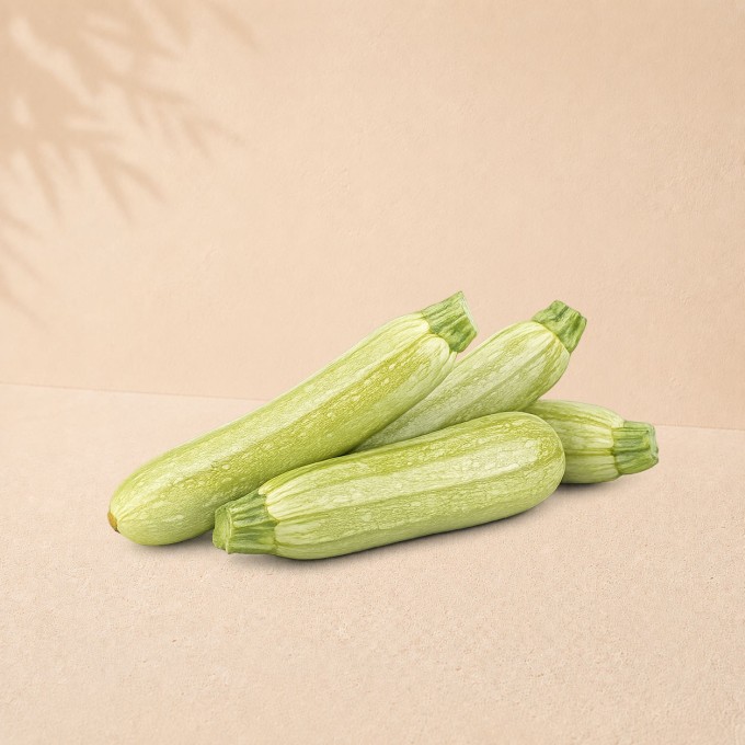 Courgette blanche BIO