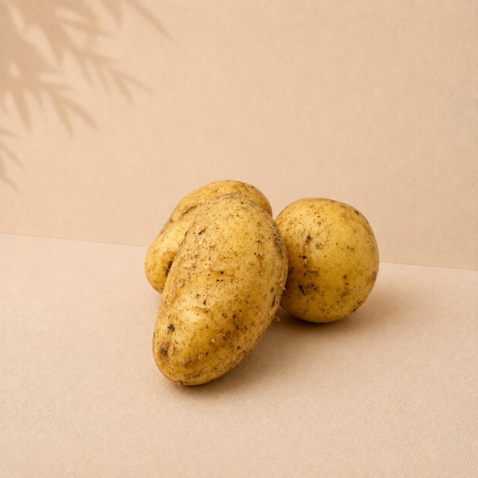 Pomme de terre Spunta