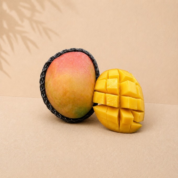 Mangue Kent avion
