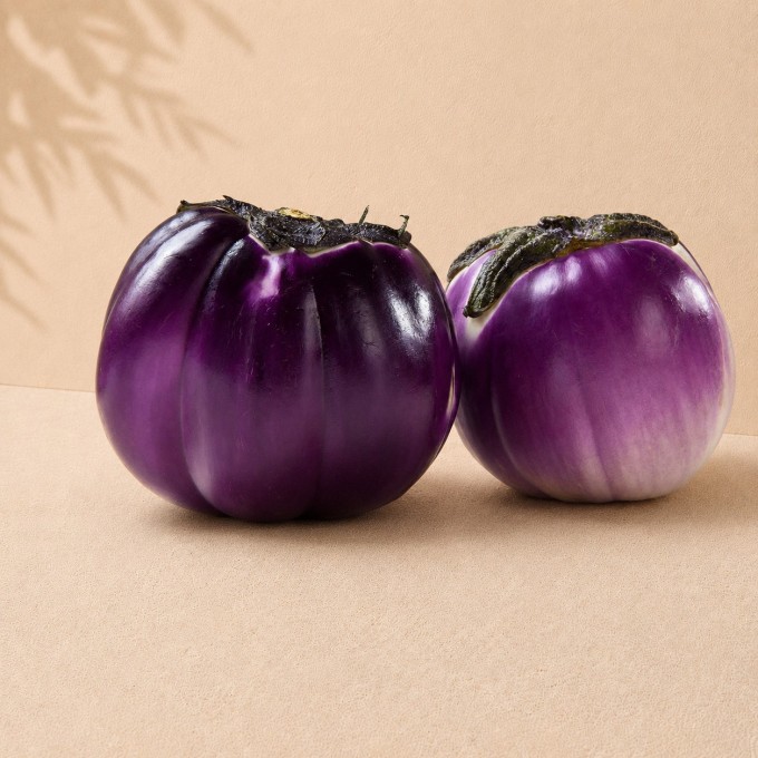 Aubergine américaine